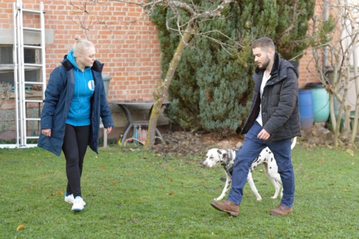 Nachbars Lumpi Mensch-Hund-Coaching Leinenfuehrigkeit Kornwestheim